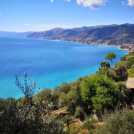 Apartment Olivari - La Salvia