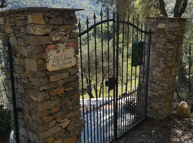 Olivari - La Salvia * 산 로코